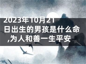 2023年10月21日出生的男孩是什么命,为人和善一生平安