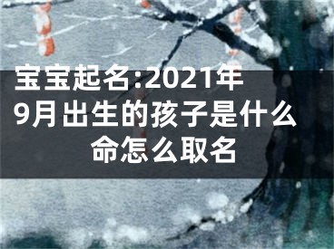 宝宝起名:2021年9月出生的孩子是什么命怎么取名