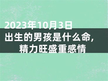 2023年10月3日出生的男孩是什么命,精力旺盛重感情