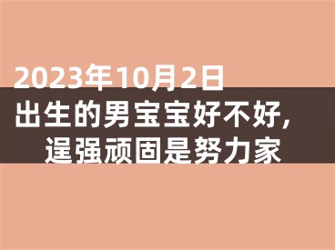 2023年10月2日出生的男宝宝好不好,逞强顽固是努力家