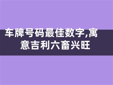 车牌号码最佳数字,寓意吉利六畜兴旺