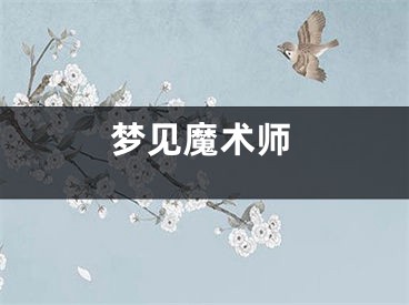 梦见魔术师