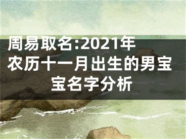 周易取名:2021年农历十一月出生的男宝宝名字分析