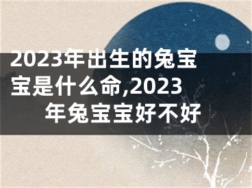 2023年出生的兔宝宝是什么命,2023年兔宝宝好不好