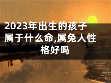 2023年出生的孩子属于什么命,属兔人性格好吗