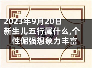 2023年9月20日新生儿五行属什么,个性倔强想象力丰富