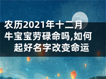 农历2021年十二月牛宝宝劳碌命吗,如何起好名字改变命运