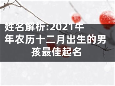 姓名解析:2021牛年农历十二月出生的男孩最佳起名