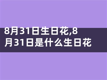 8月31日生日花,8月31日是什么生日花