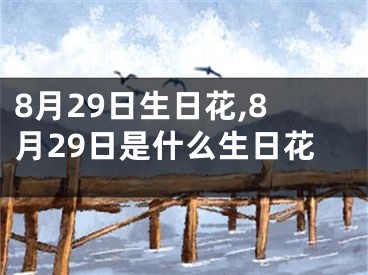 8月29日生日花,8月29日是什么生日花