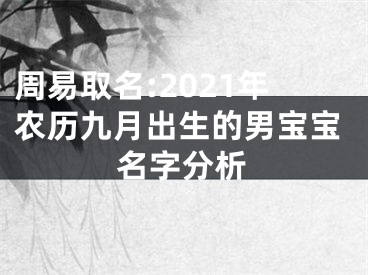 周易取名:2021年农历九月出生的男宝宝名字分析