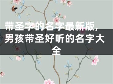 带圣字的名字最新版,男孩带圣好听的名字大全