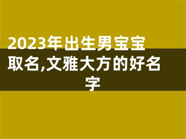 2023年出生男宝宝取名,文雅大方的好名字