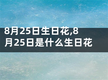 8月25日生日花,8月25日是什么生日花