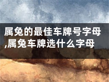 属兔的最佳车牌号字母,属兔车牌选什么字母