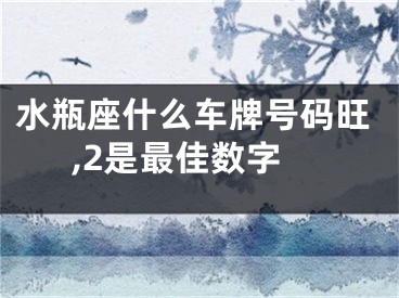 水瓶座什么车牌号码旺,2是最佳数字