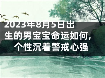 2023年8月5日出生的男宝宝命运如何,个性沉着警戒心强