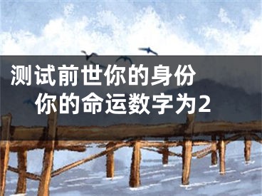 测试前世你的身份  你的命运数字为2