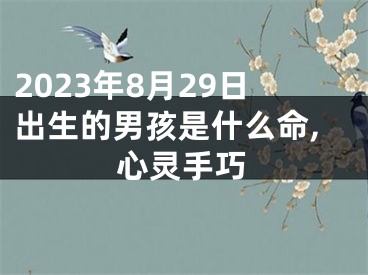 2023年8月29日出生的男孩是什么命,心灵手巧