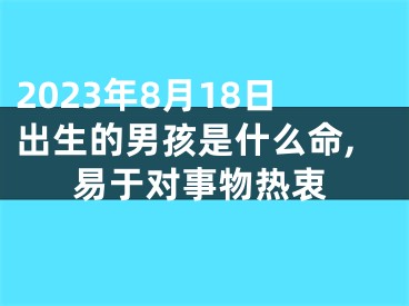 2023年8月18日出生的男孩是什么命,易于对事物热衷