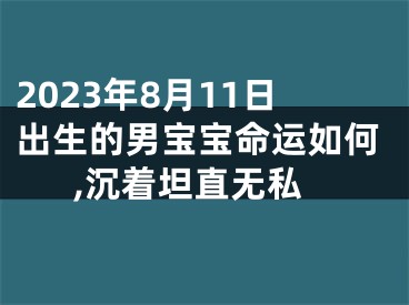 2023年8月11日出生的男宝宝命运如何,沉着坦直无私