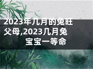 2023年几月的兔旺父母,2023几月兔宝宝一等命