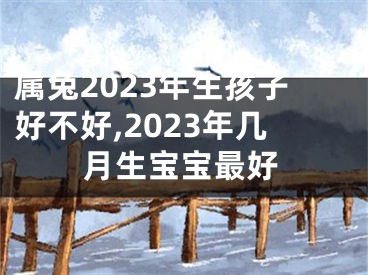 属兔2023年生孩子好不好,2023年几月生宝宝最好