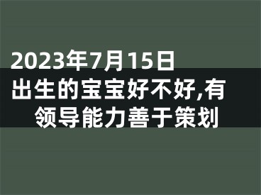 2023年7月15日出生的宝宝好不好,有领导能力善于策划