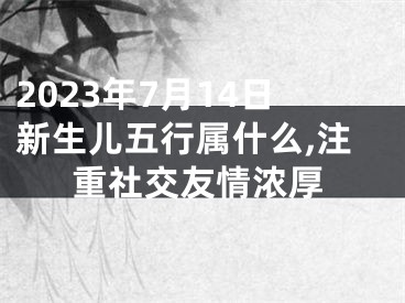 2023年7月14日新生儿五行属什么,注重社交友情浓厚