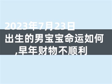 2023年7月23日出生的男宝宝命运如何,早年财物不顺利