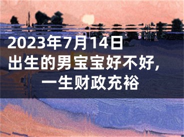 2023年7月14日出生的男宝宝好不好,一生财政充裕