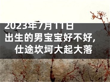 2023年7月11日出生的男宝宝好不好,仕途坎坷大起大落