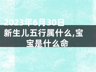 2023年6月30日新生儿五行属什么,宝宝是什么命