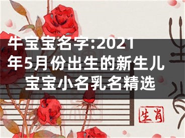 牛宝宝名字:2021年5月份出生的新生儿宝宝小名乳名精选