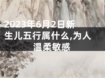 2023年6月2日新生儿五行属什么,为人温柔敏感