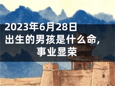 2023年6月28日出生的男孩是什么命,事业显荣