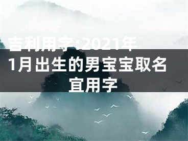 吉利用字:2021年1月出生的男宝宝取名宜用字