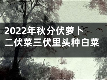 2022年秋分伏萝卜二伏菜三伏里头种白菜