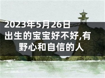 2023年5月26日出生的宝宝好不好,有野心和自信的人