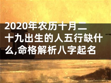 2020年农历十月二十九出生的人五行缺什么,命格解析八字起名