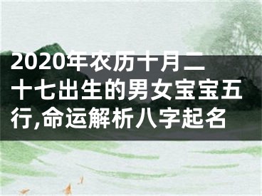 2020年农历十月二十七出生的男女宝宝五行,命运解析八字起名