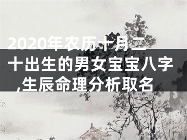 2020年农历十月二十出生的男女宝宝八字,生辰命理分析取名