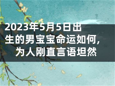 2023年5月5日出生的男宝宝命运如何,为人刚直言语坦然