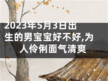 2023年5月3日出生的男宝宝好不好,为人伶俐面气清爽