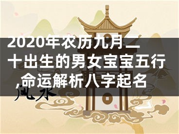 2020年农历九月二十出生的男女宝宝五行,命运解析八字起名