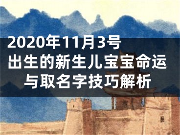 2020年11月3号出生的新生儿宝宝命运与取名字技巧解析