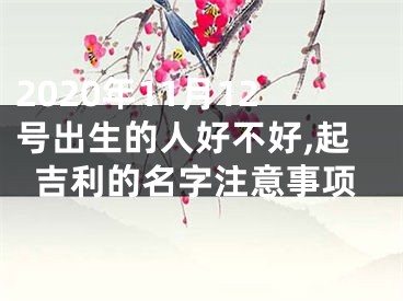 2020年11月12号出生的人好不好,起吉利的名字注意事项