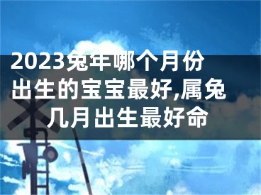 2023兔年哪个月份出生的宝宝最好,属兔几月出生最好命