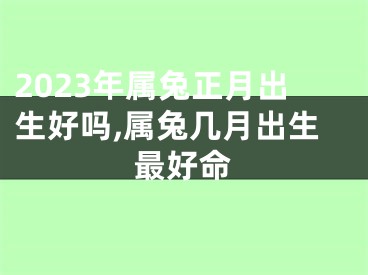 2023年属兔正月出生好吗,属兔几月出生最好命