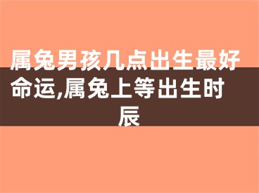 属兔男孩几点出生最好命运,属兔上等出生时辰